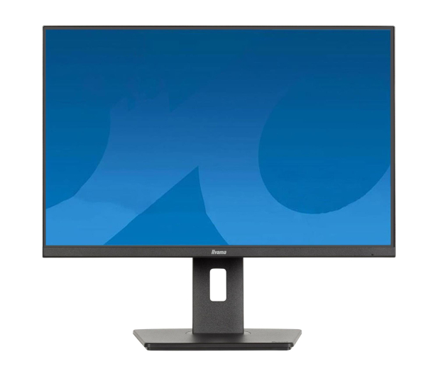 iiyama ProLite XB2495WSU-B1 - 1518008 - zdjęcie